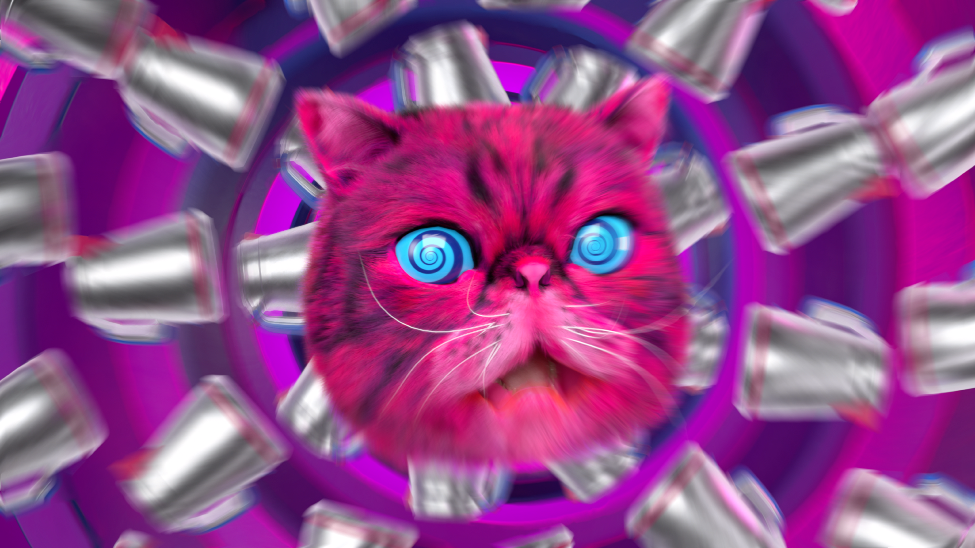 HypnoCat for Material Focus case study