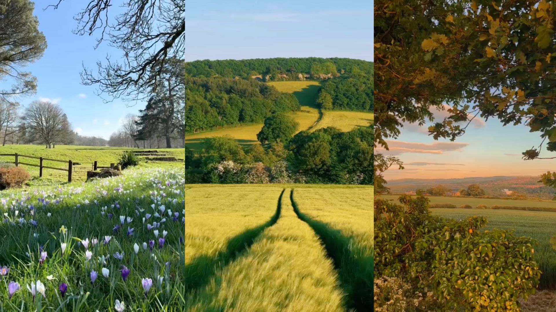 Reconnecting the nation to nature case study