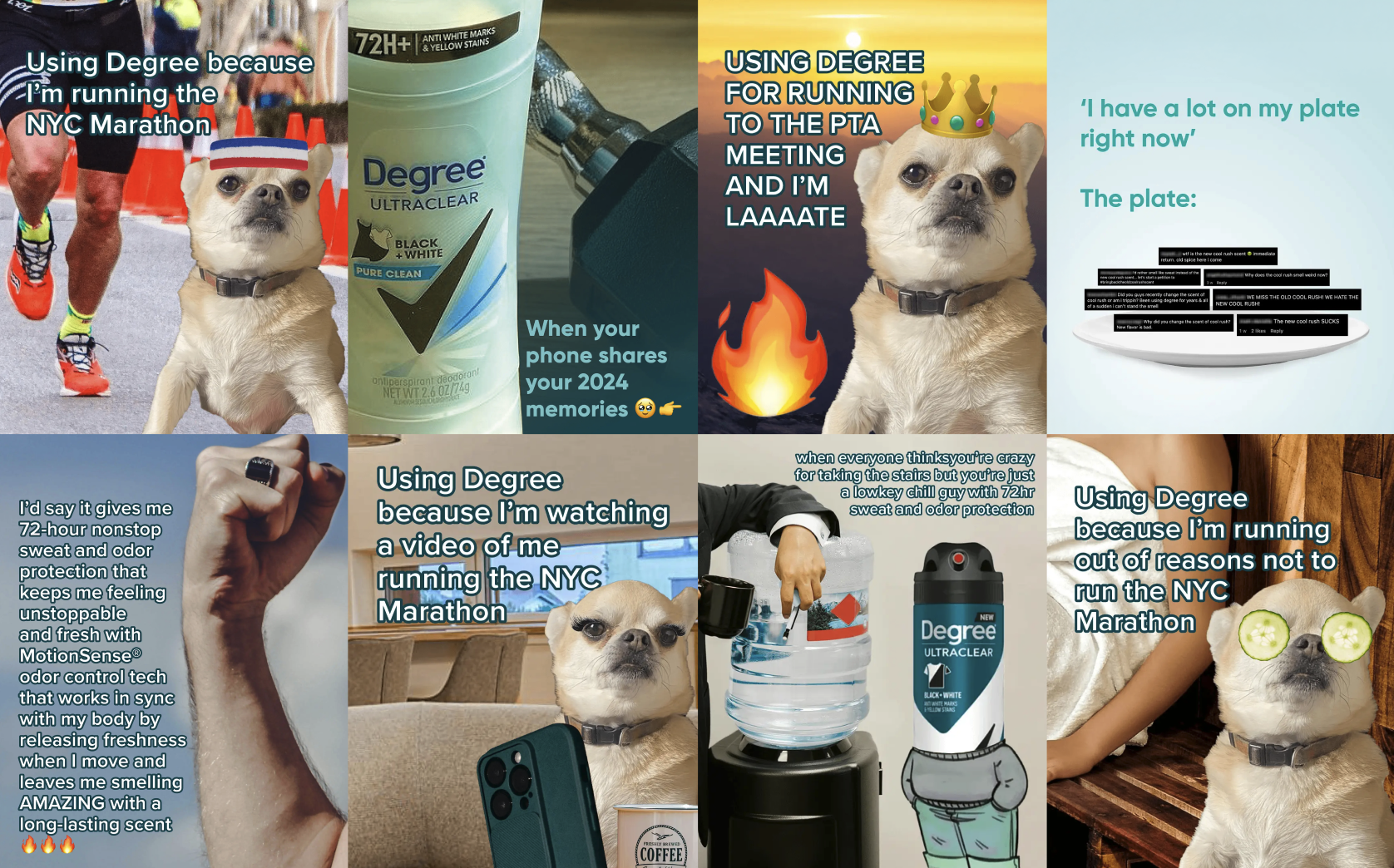 Degree — All cringe, no sweat case study