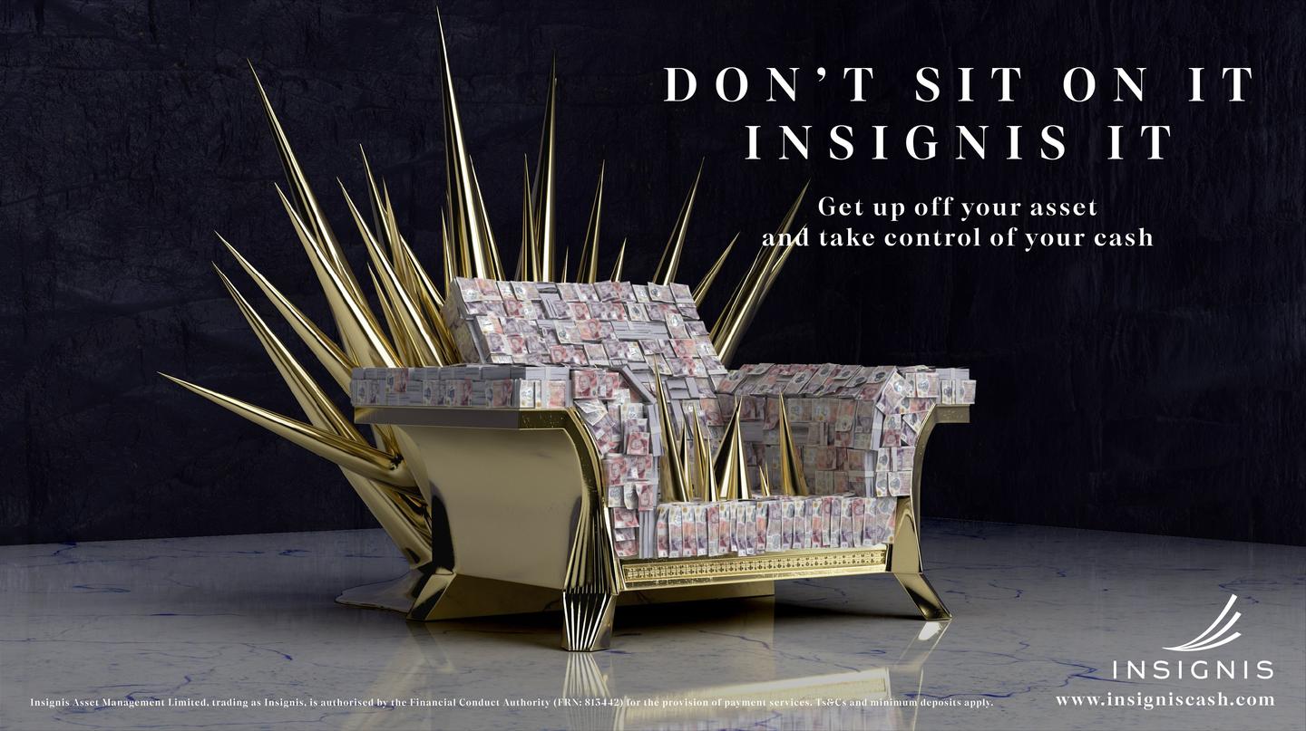 Insignis - Alerting the cash-rich to the dangers of sitting on their assets case study