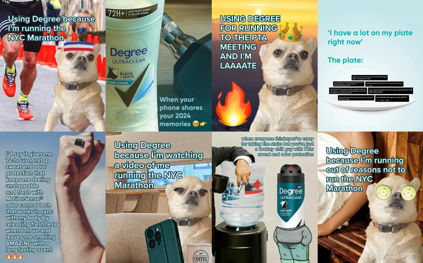 Degree — All cringe, no sweat case study